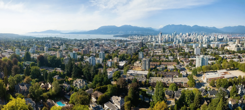 PCN Steering Committees